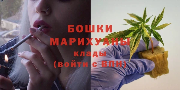 стаф Краснослободск