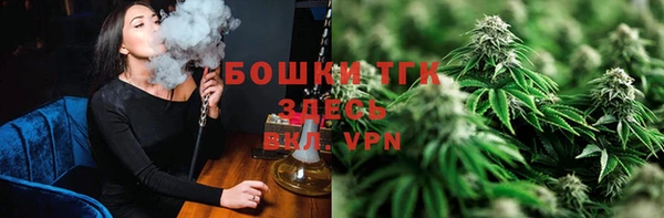 стаф Краснослободск