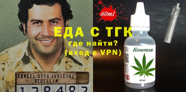 хмурый Ельня