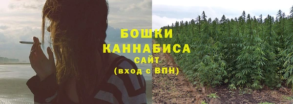 стаф Краснослободск