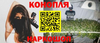 гашик Кинель
