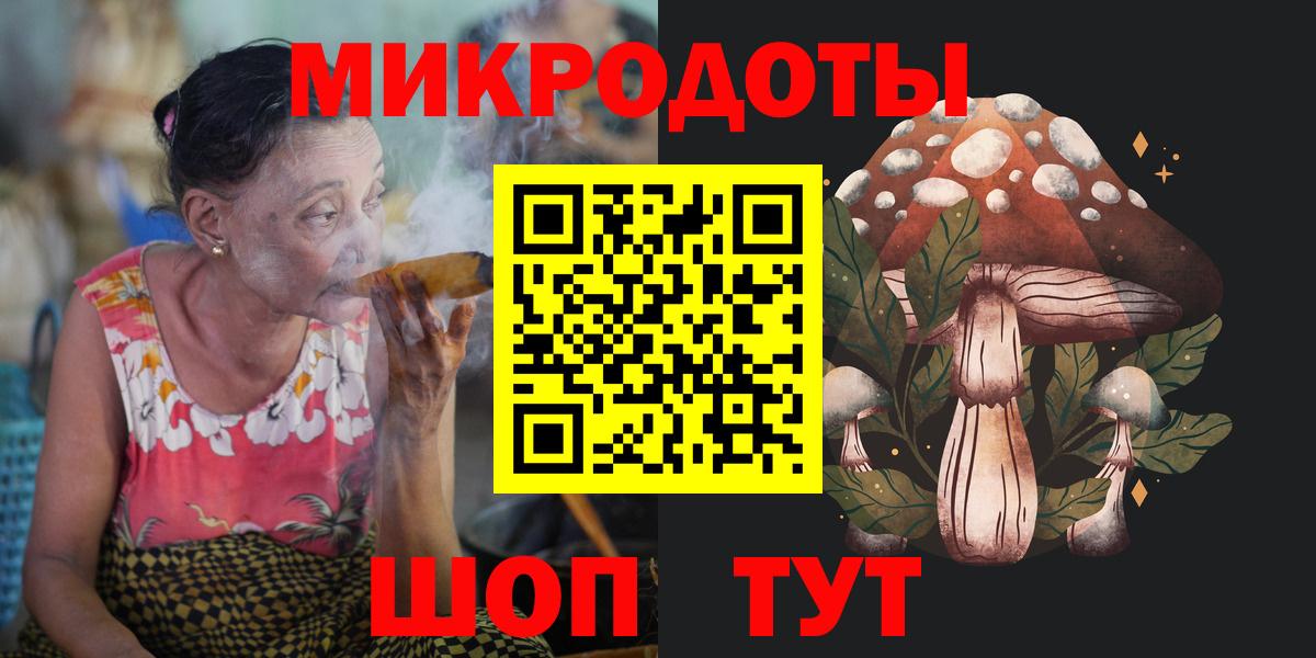 Псилоцибиновые грибы Psilocybe Майкоп